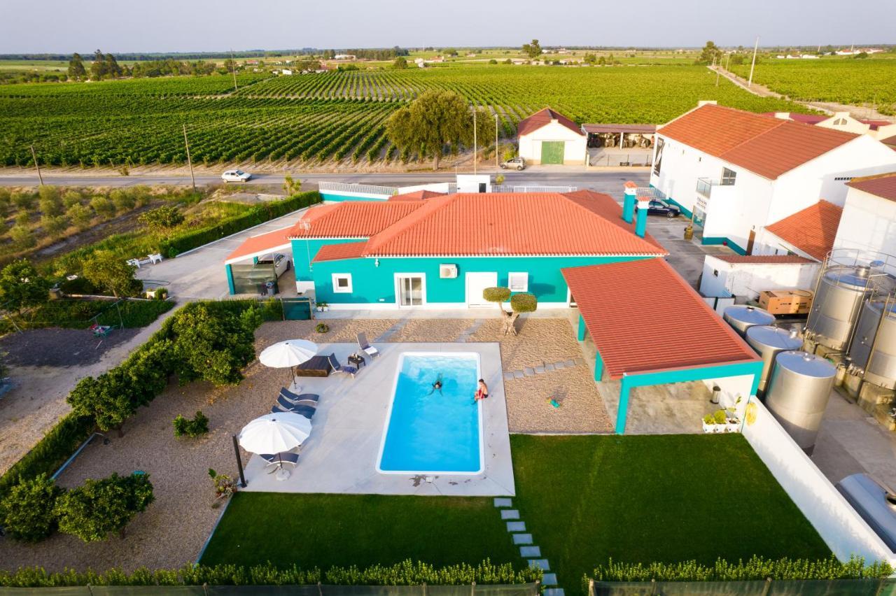 Вилла Delmira Vineyard House Aguas de Moura Экстерьер фото